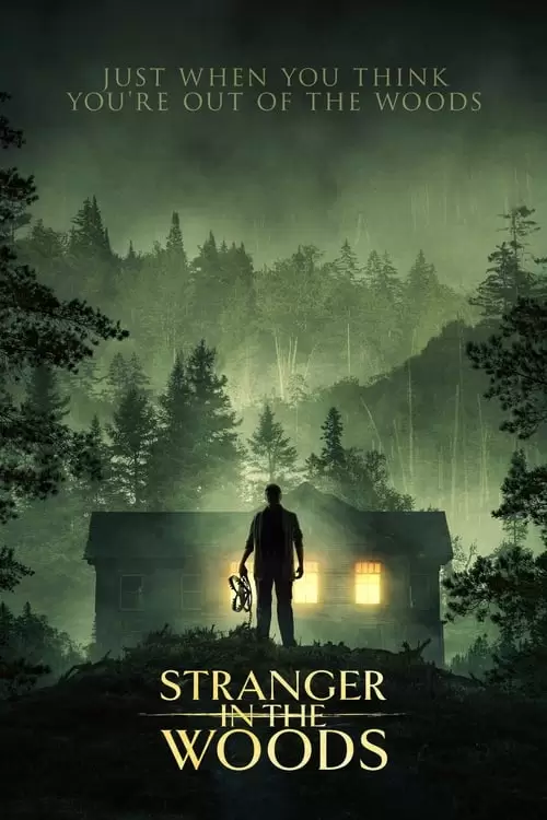 Stranger in the Woods Poster