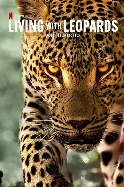 Living with Leopards Poster
