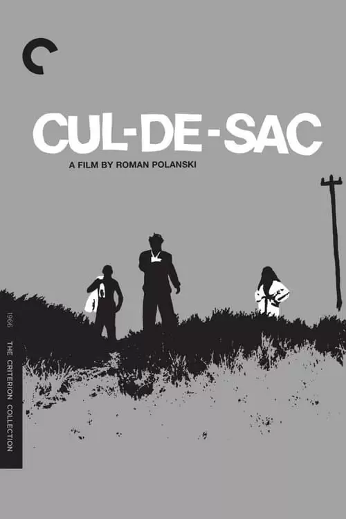 Cul-de-sac Poster