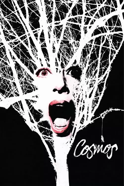 Cosmos Poster