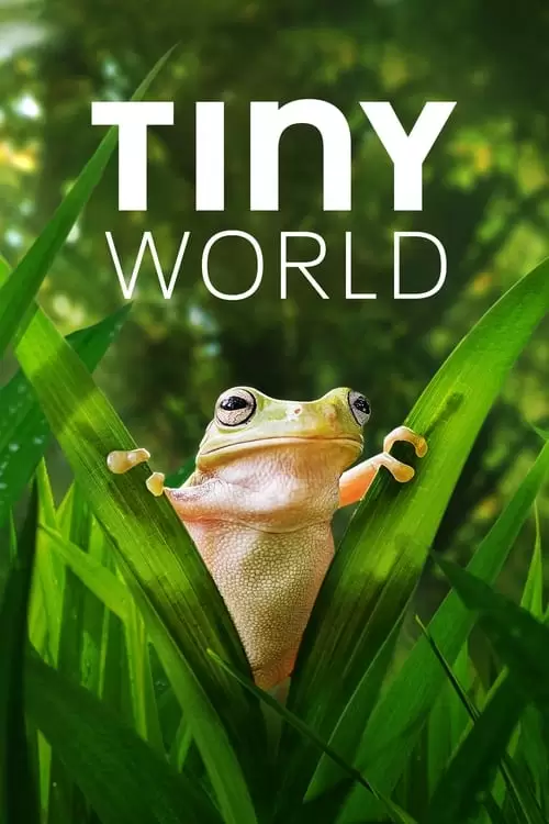 Tiny World Poster