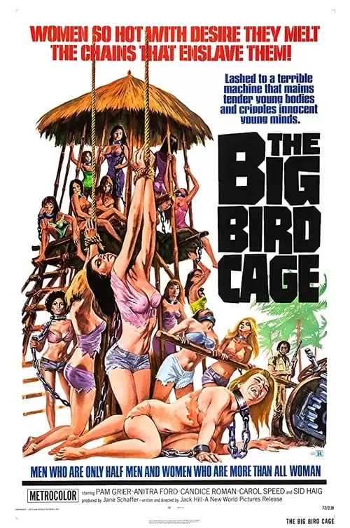 The Big Bird Cage Poster