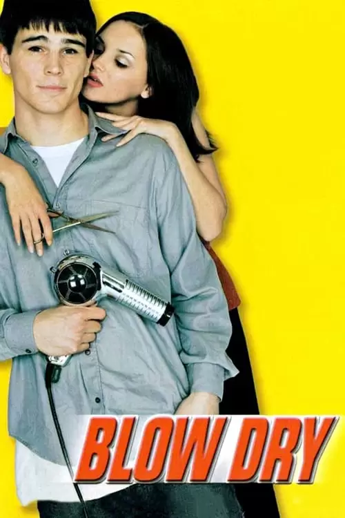 Blow Dry Poster