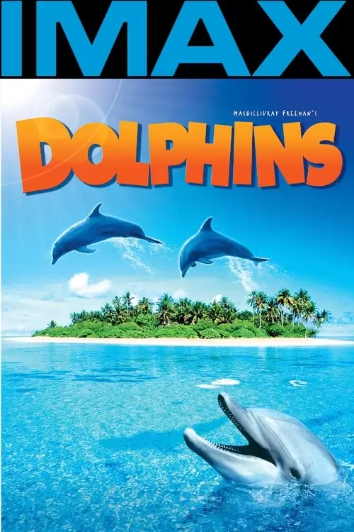 Dolphins Poster