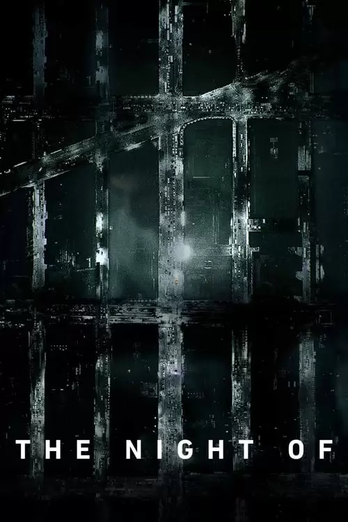 The Night Of Poster