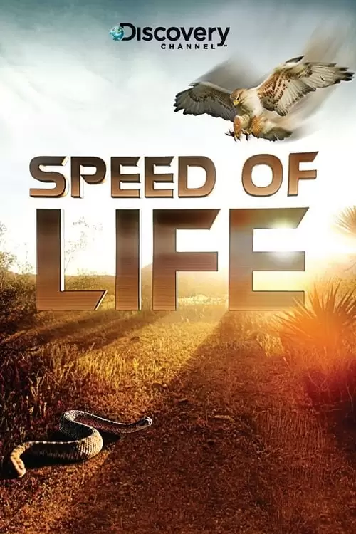 Speed of Life Poster