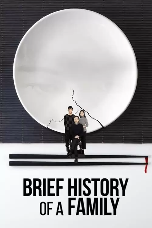 Brief History of a Family Poster