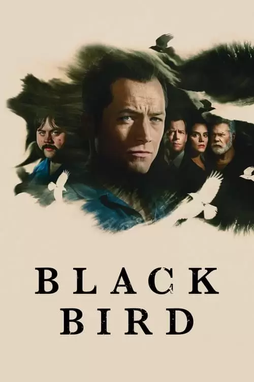 Black Bird Poster
