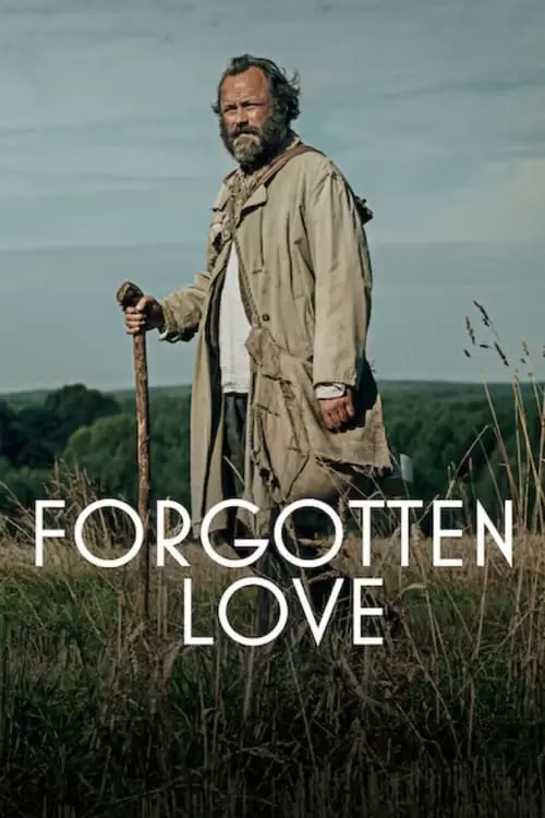 Forgotten Love Poster