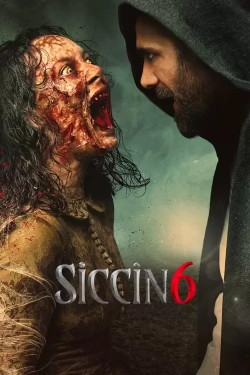 Siccin 6 Poster