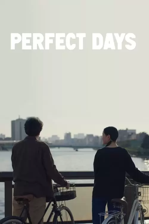 Perfect Days Poster