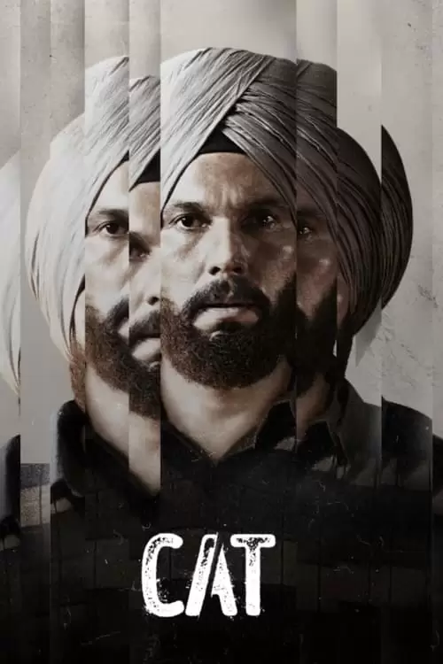 Cat Poster