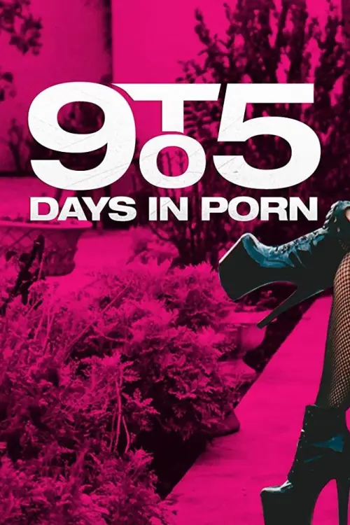 9 to 5: Days in Porn Poster